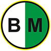 logobinhminh100